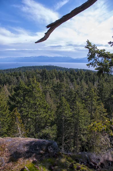 The Olympic Mountains